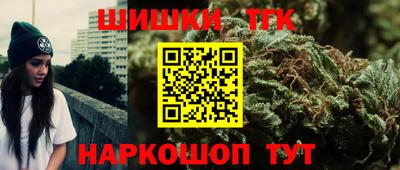 шишки Обь