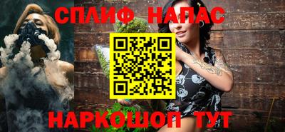 шишки Обь