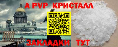 шишки Обь